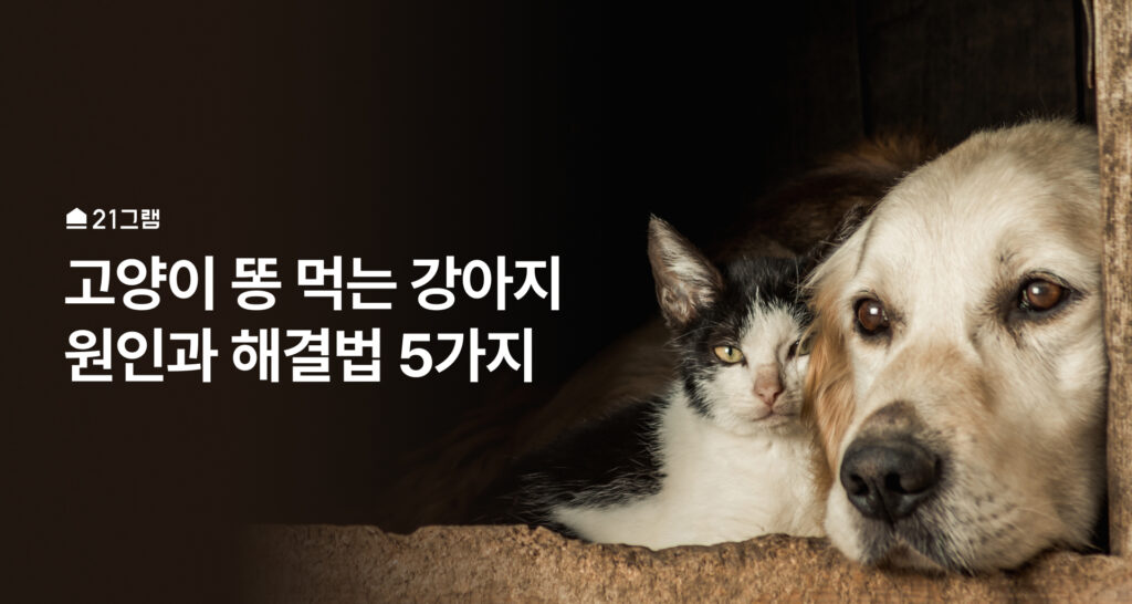 고양이 똥 먹는 강아지 타이틀 이미지 강아지와 고양이가 같이 기대있다