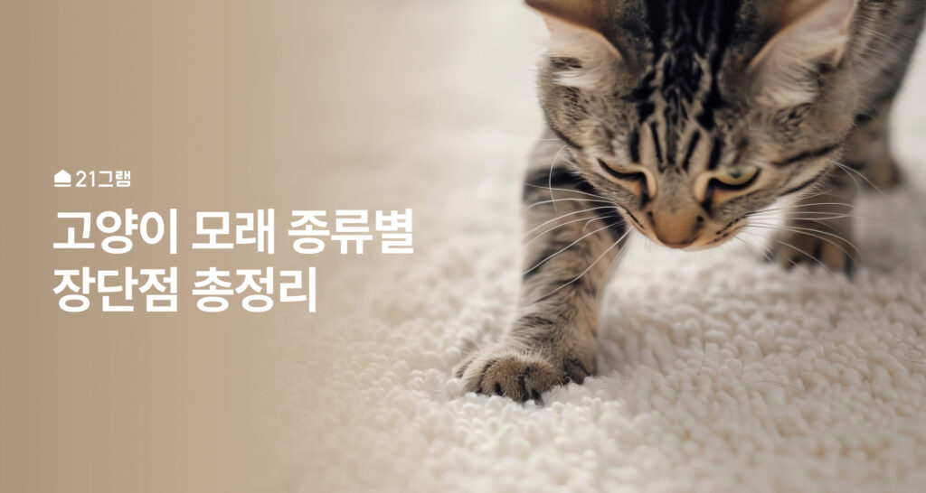 고양이 모래 종류