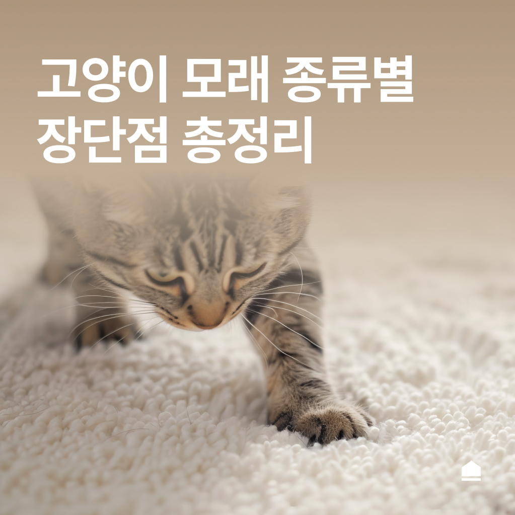 고양이 모래 종류 | 특징 및 장단점 정리 (제품소개X)