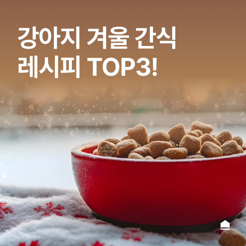 강아지 겨울 간식 TOP3! 건강한 간식 레시피