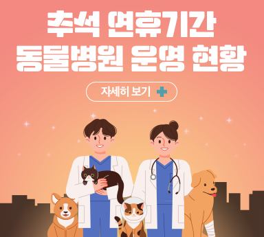 추석 연휴, 서울 동물병원 진료 장소 113곳