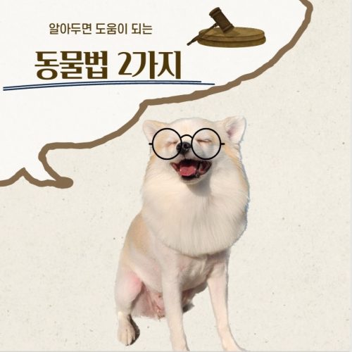 알아두면 도움이 되는 동물법 2가지