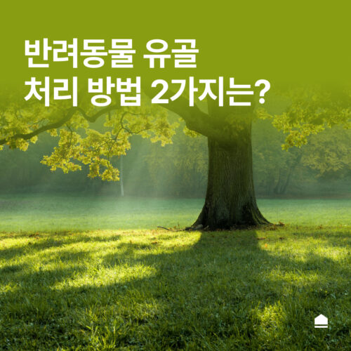 반려동물 유골 처리 방법 2가지