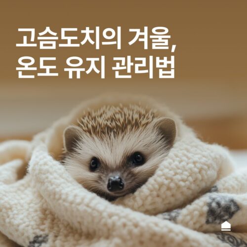 고슴도치의 겨울철 온도 유지 관리법 : 동면 대비