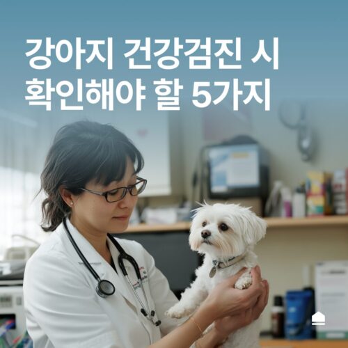 강아지 건강검진 시 꼭 확인해야 할 항목 5가지