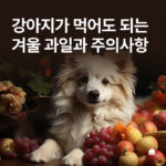 강아지 겨울철 추천 과일 및 섭취 시 주의사항