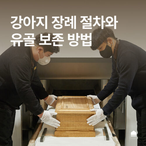 강아지 장례 절차와 유골 보관 방법