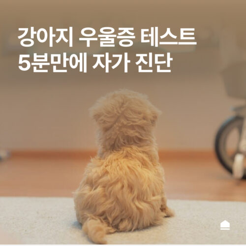 강아지 우울증 테스트, 5분 만에 자가 진단하기